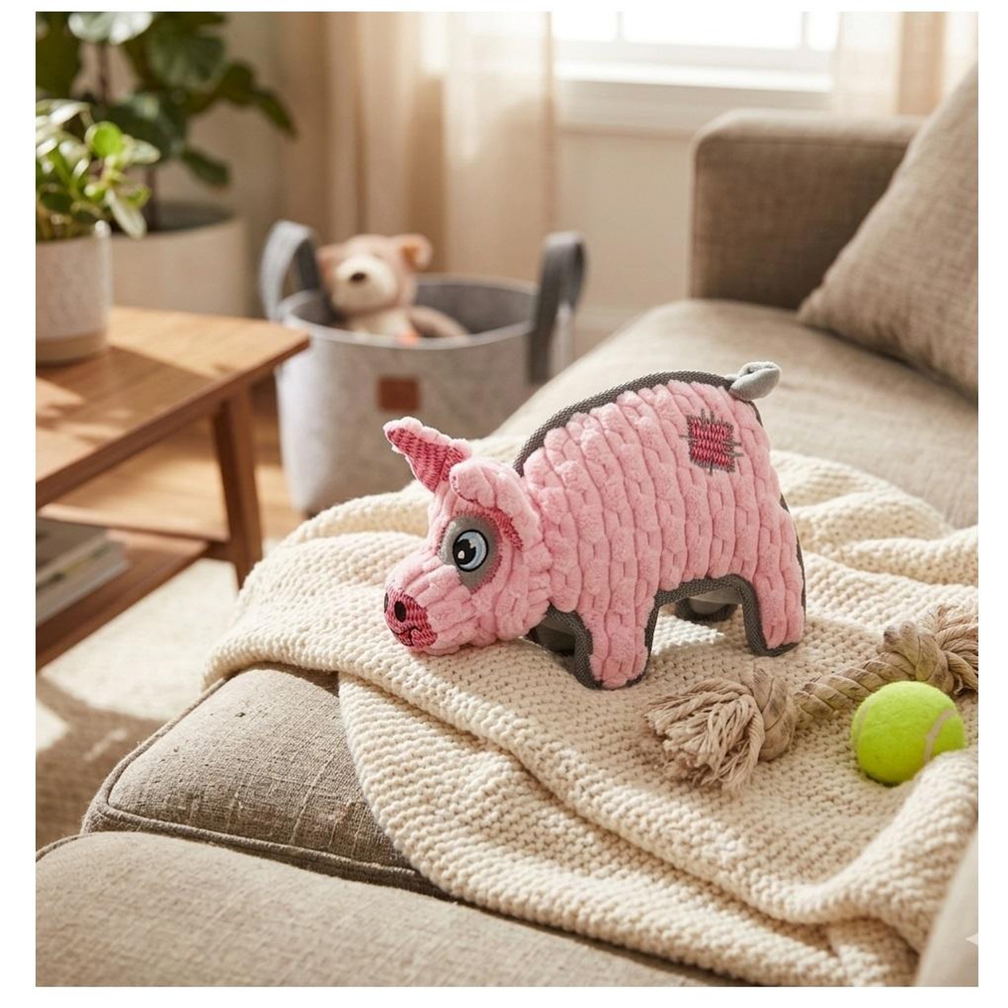 Voir la diapositive 3 : Eden Jeu couineur cochon pour chien 16 x 24 cm