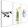 Voir la diapositive 1 : Paris Prix Tableau Imprimé  Nature Collection