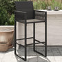 Voir la diapositive 1 : VIDAXL Tabourets de bar de jardin lot de 2 noir resine tressee