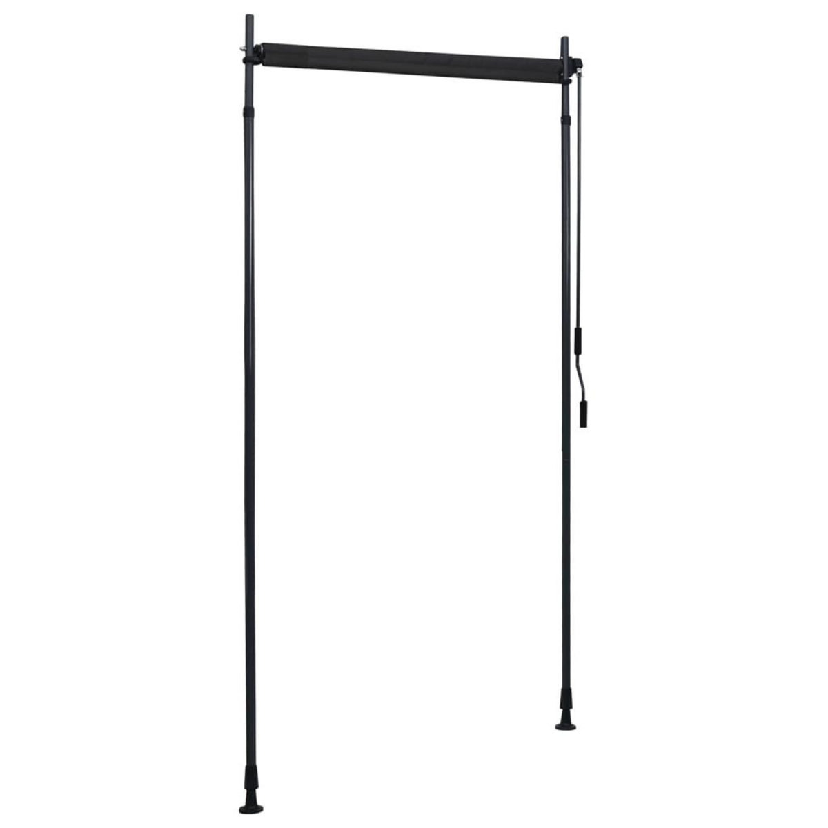 VIDAXL Store roulant d'exterieur 100 x 270 cm Anthracite