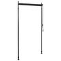 Voir la diapositive 5 : VIDAXL Store roulant d'exterieur 100 x 270 cm Anthracite