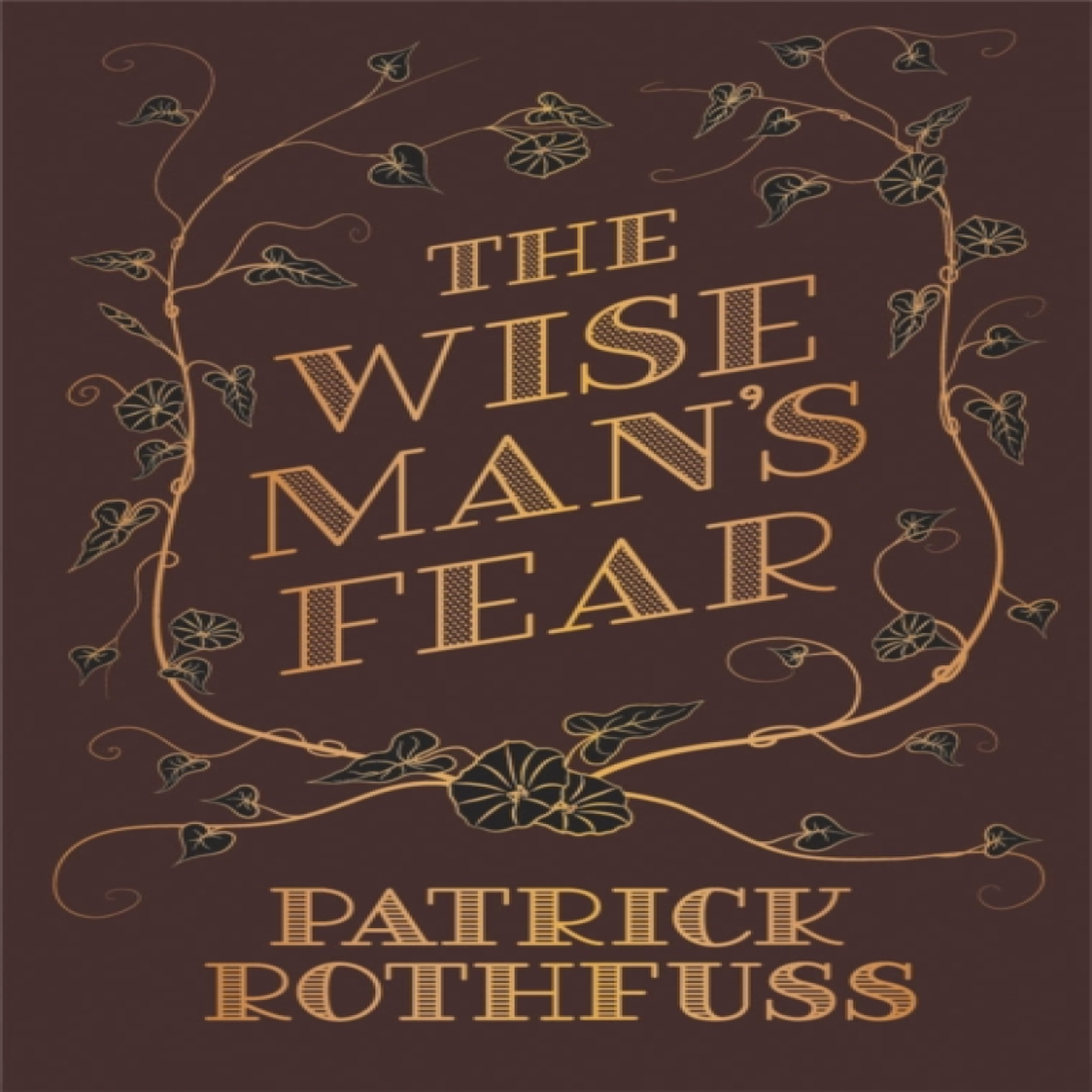 LIVRES The Wise Man's Fear : The Kingkiller Chronicle: Book 2