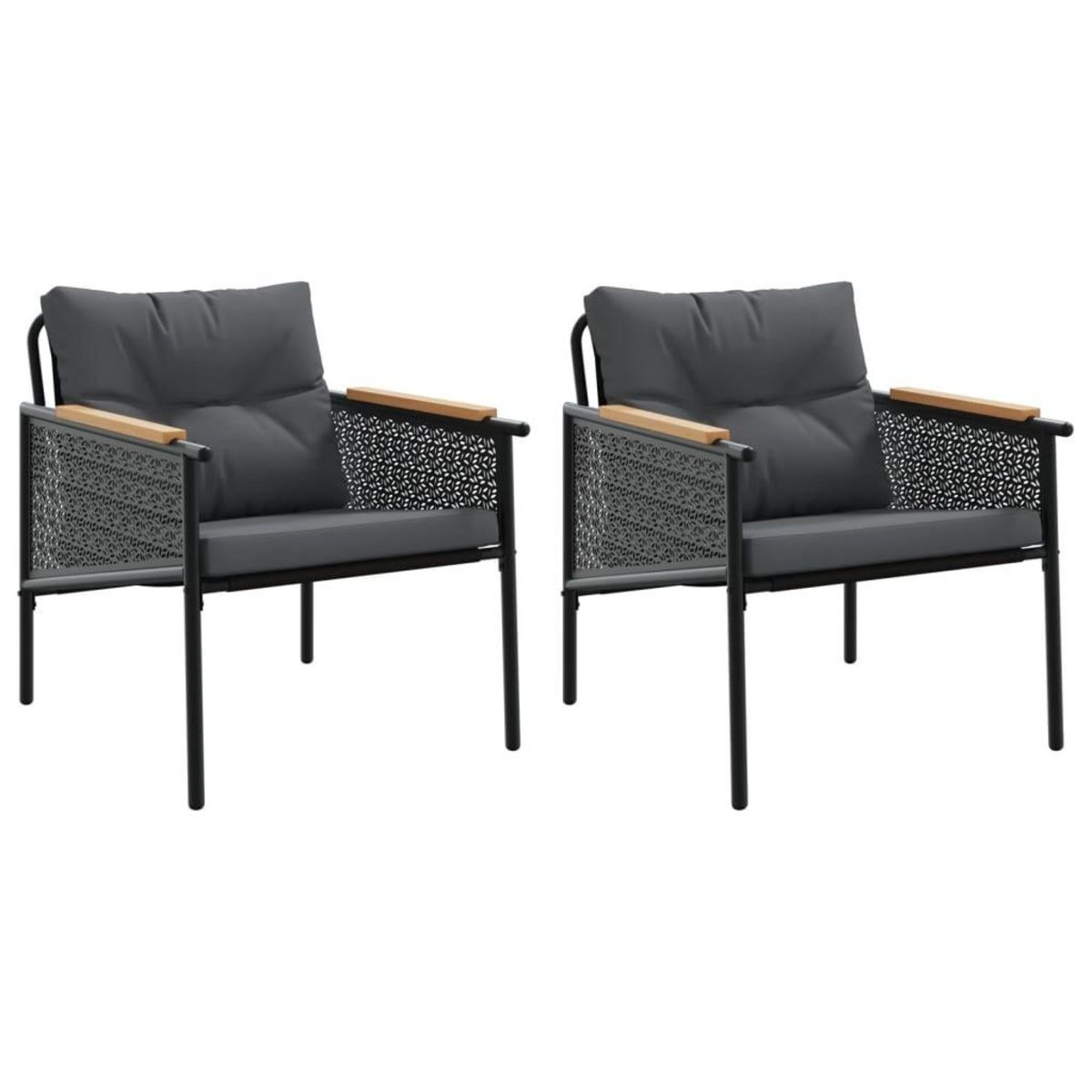 VIDAXL Chaises de jardin avec coussins lot de 2 noir acier