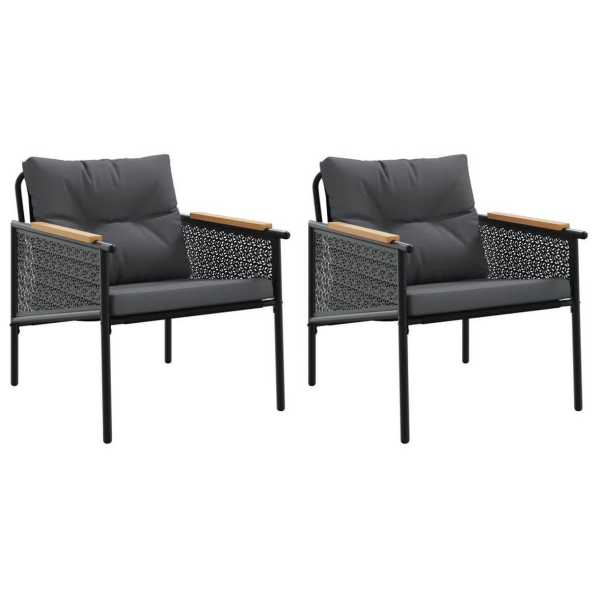 VIDAXL Chaises de jardin avec coussins lot de 2 noir acier