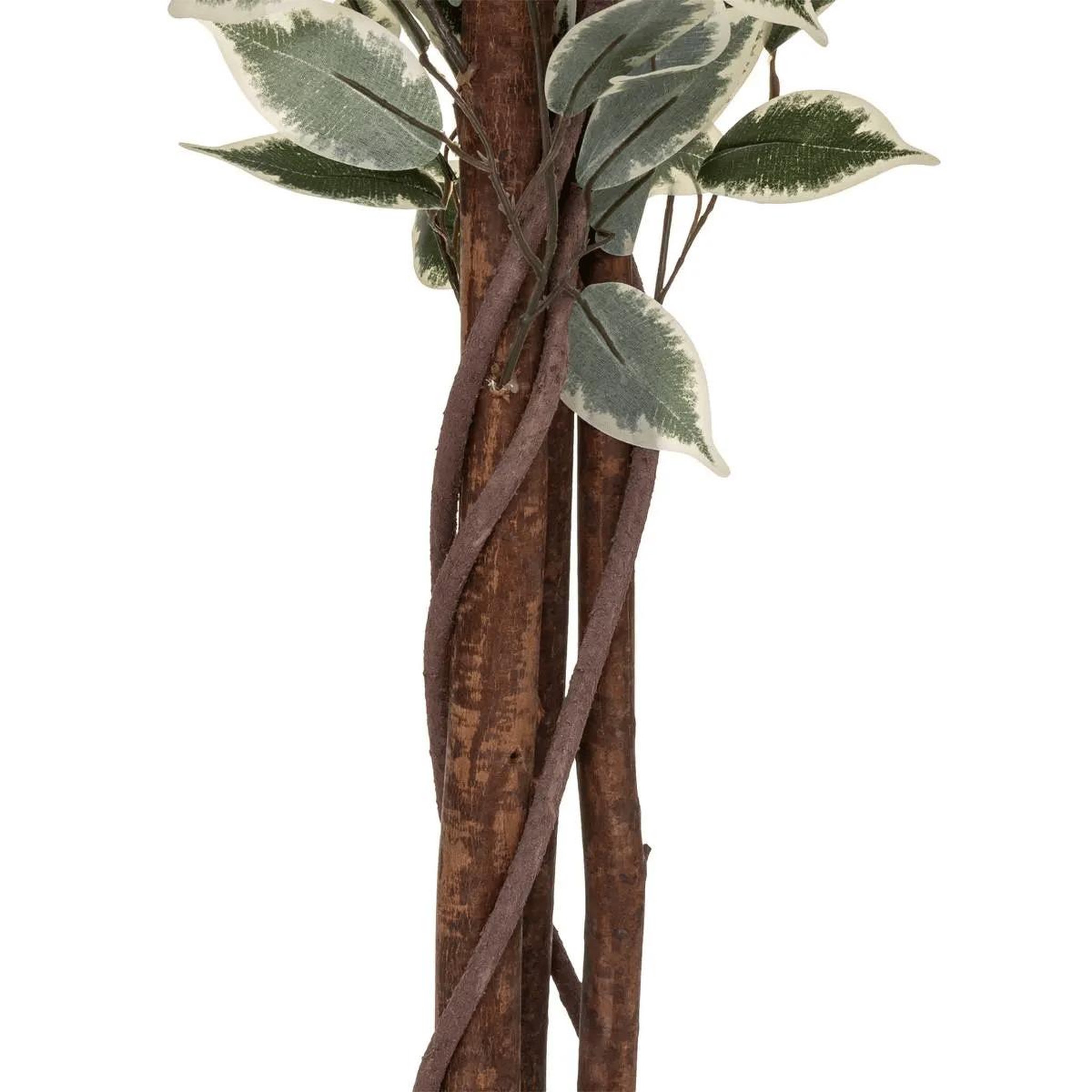 Voir la diapositive 3 : ATMOSPHERA Plante artificielle  ficus  180cm vert