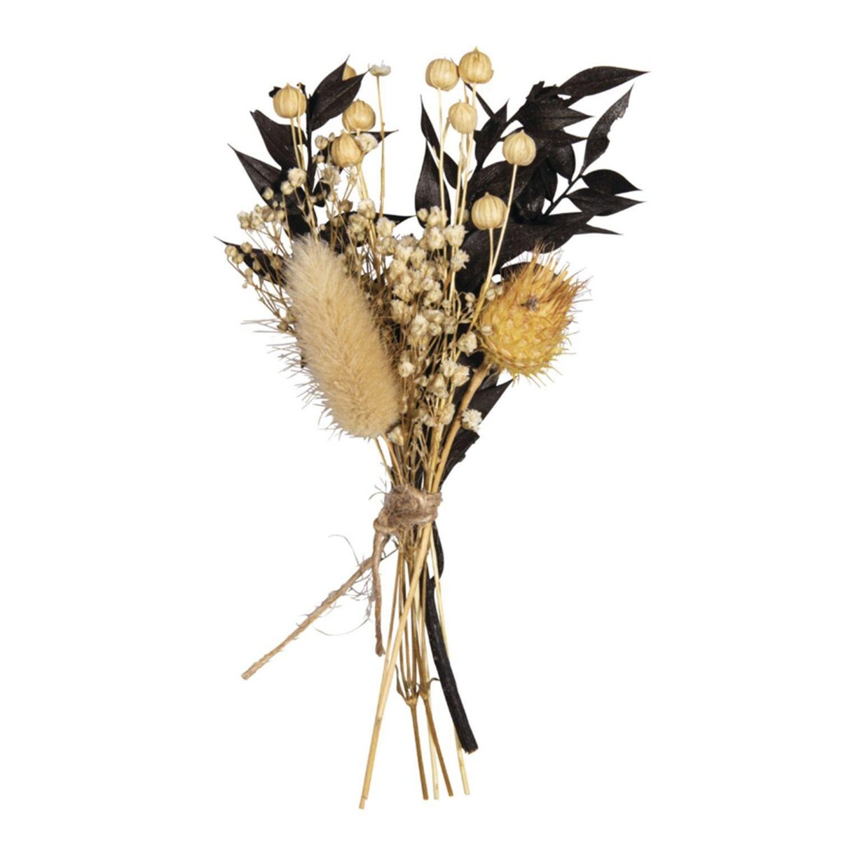 Rayher Bouquet de fleurs séchées noires et beiges
