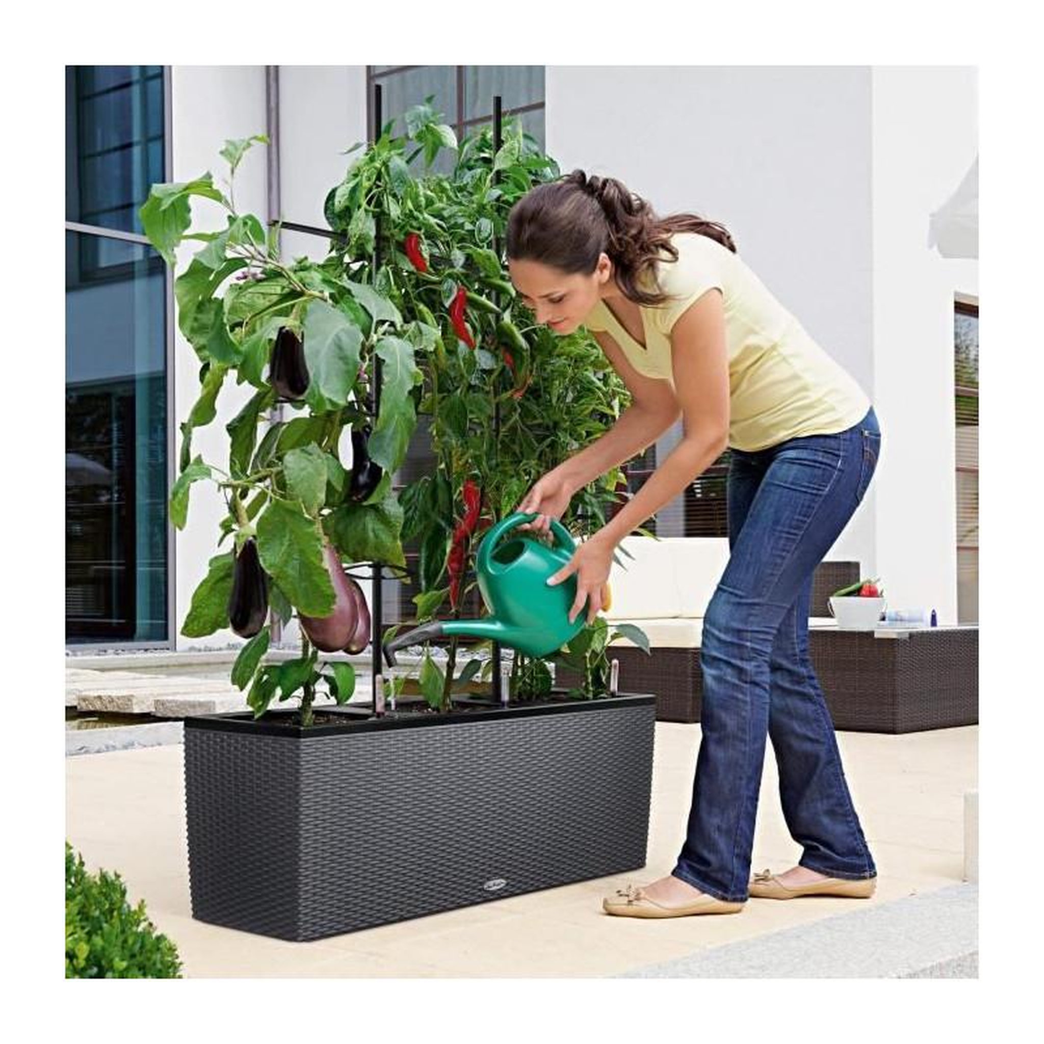 Voir la diapositive 5 : LECHUZA Pot Trio Cottage 30 - kit complet, granit - 100 cm