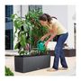 Voir la diapositive 5 : LECHUZA Pot Trio Cottage 30 - kit complet, granit - 100 cm