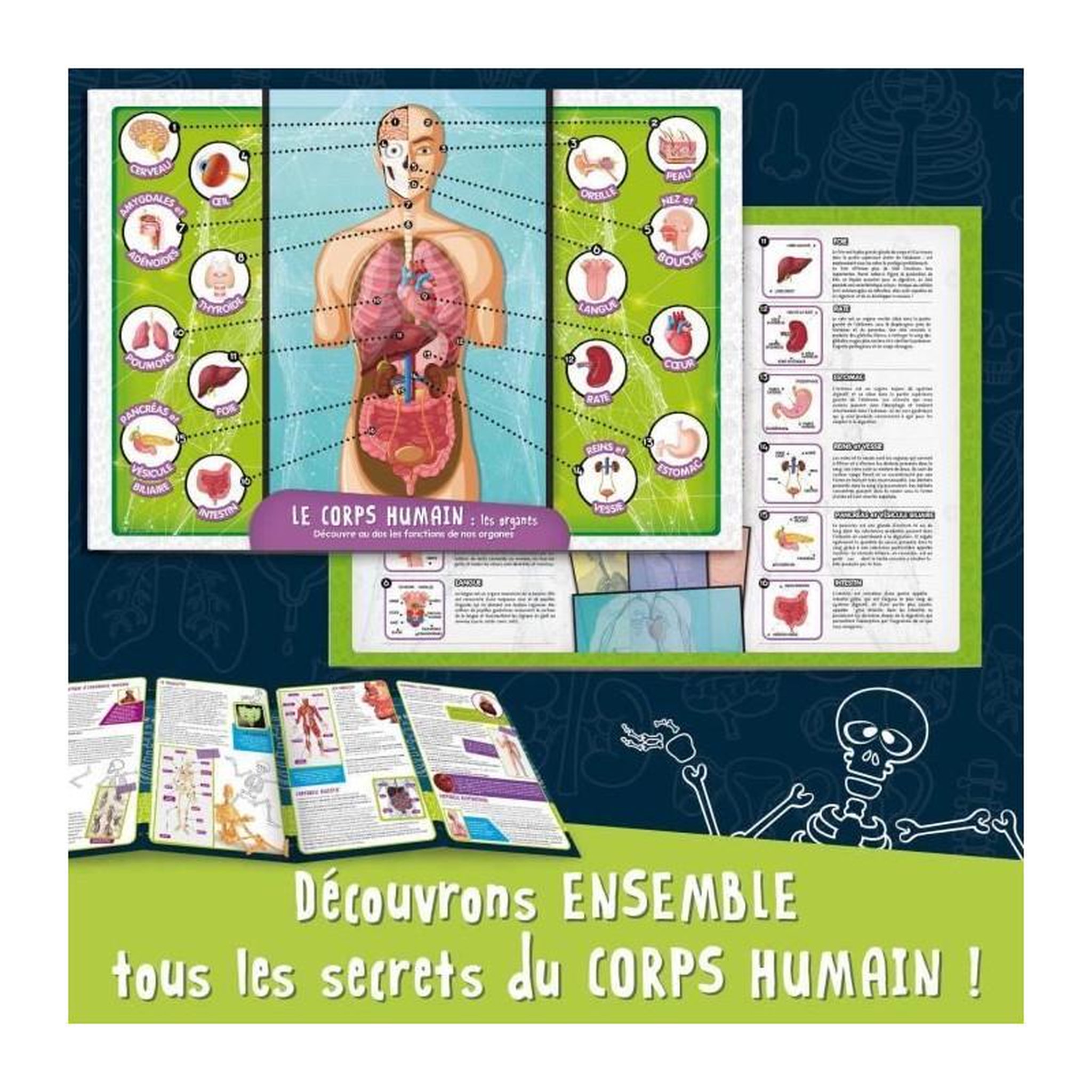 Voir la diapositive 4 : LISCIANI GIOCHI Kit scientifique Lisciani Giochi Découverte du corps humain - I'M A GENIUS POCKET