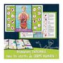 Voir la diapositive 4 : LISCIANI GIOCHI Découverte du corps humain - Kit Scientifique - I'M A GENIUS POCKET - Modele 3D