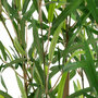 Voir la diapositive 2 : ATMOSPHERA Plante Artificielle  Bambou  90cm  Vert