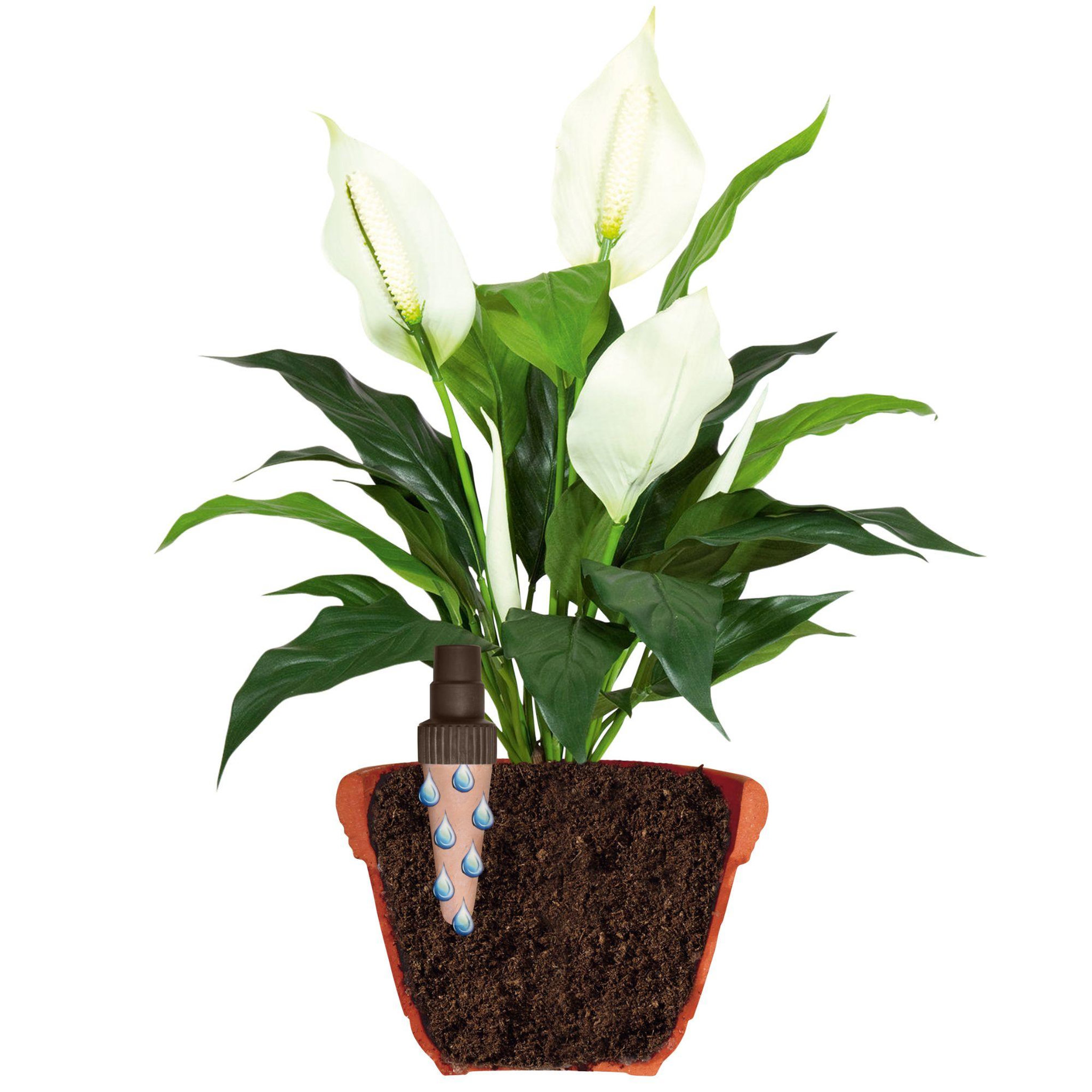 Voir la diapositive 3 : Jardibric Arroseur autonome aquago avec cônes en terre cuite  2 pcs