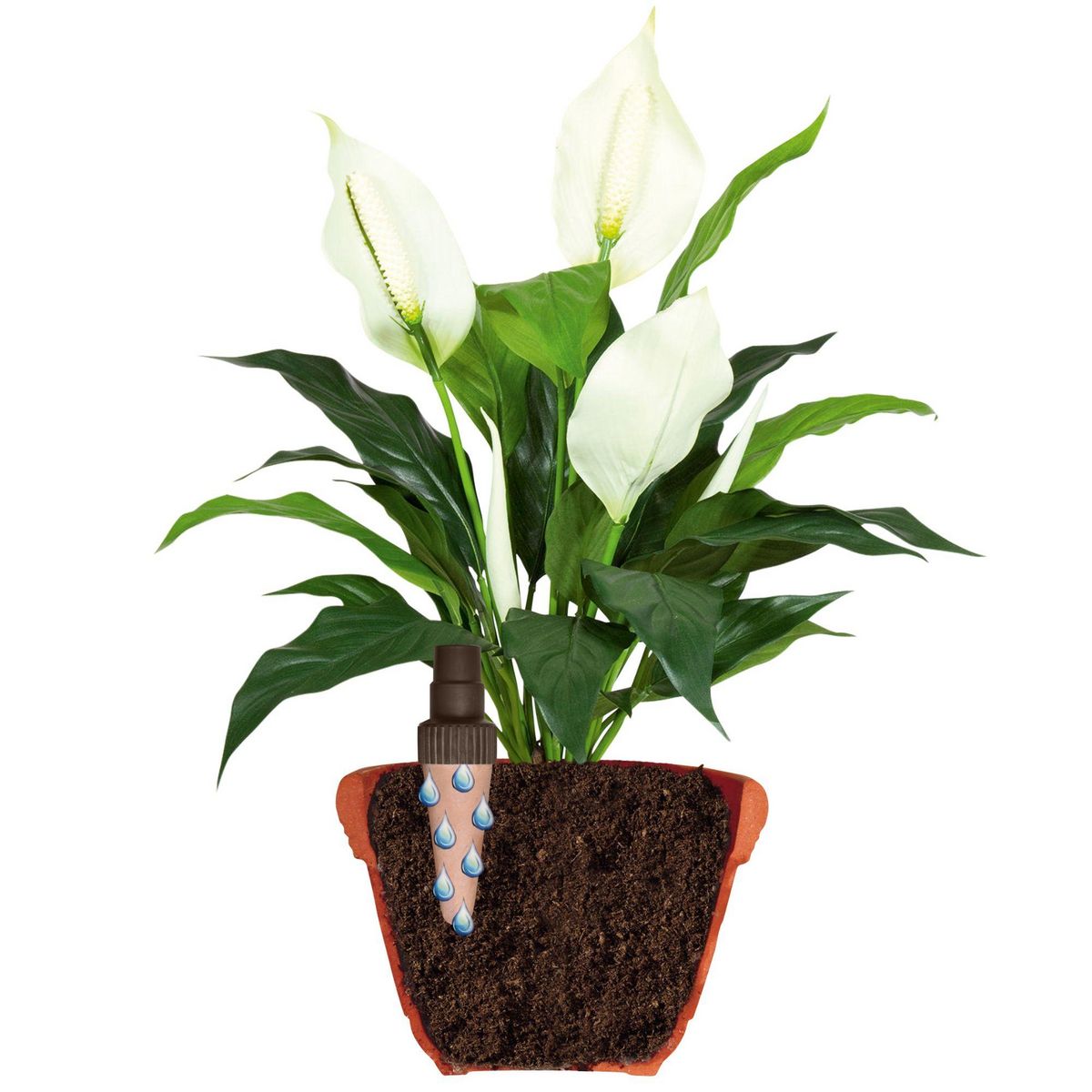 Jardibric Arroseur autonome Aquago avec cônes en terre cuite  2 pcs