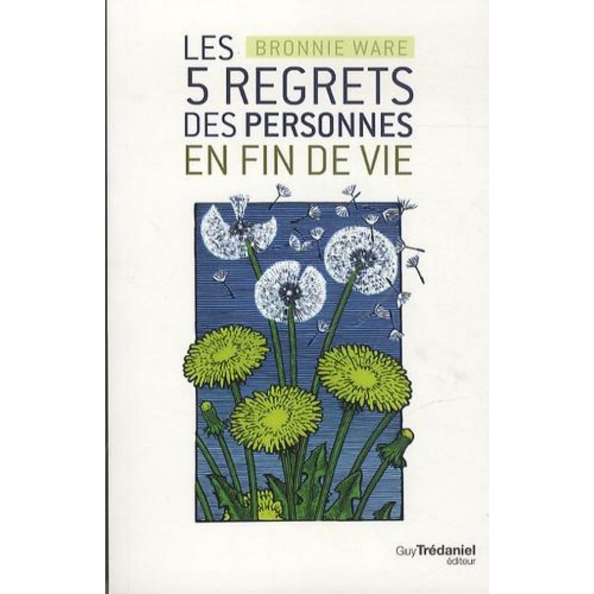LES 5 REGRETS DES PERSONNES EN FIN DE VIE, Ware Bronnie