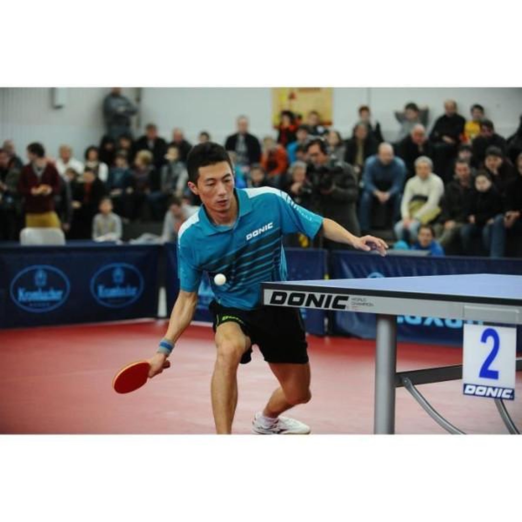 Voir la diapositive 4 : SCHILDKROT Raquette de tennis de table - schildkröt - top teams 600 avs,manche - bois de qualité et revetement ittf