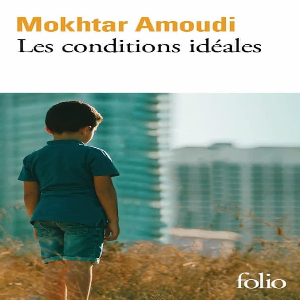 LES CONDITIONS IDEALES, Amoudi Mokhtar