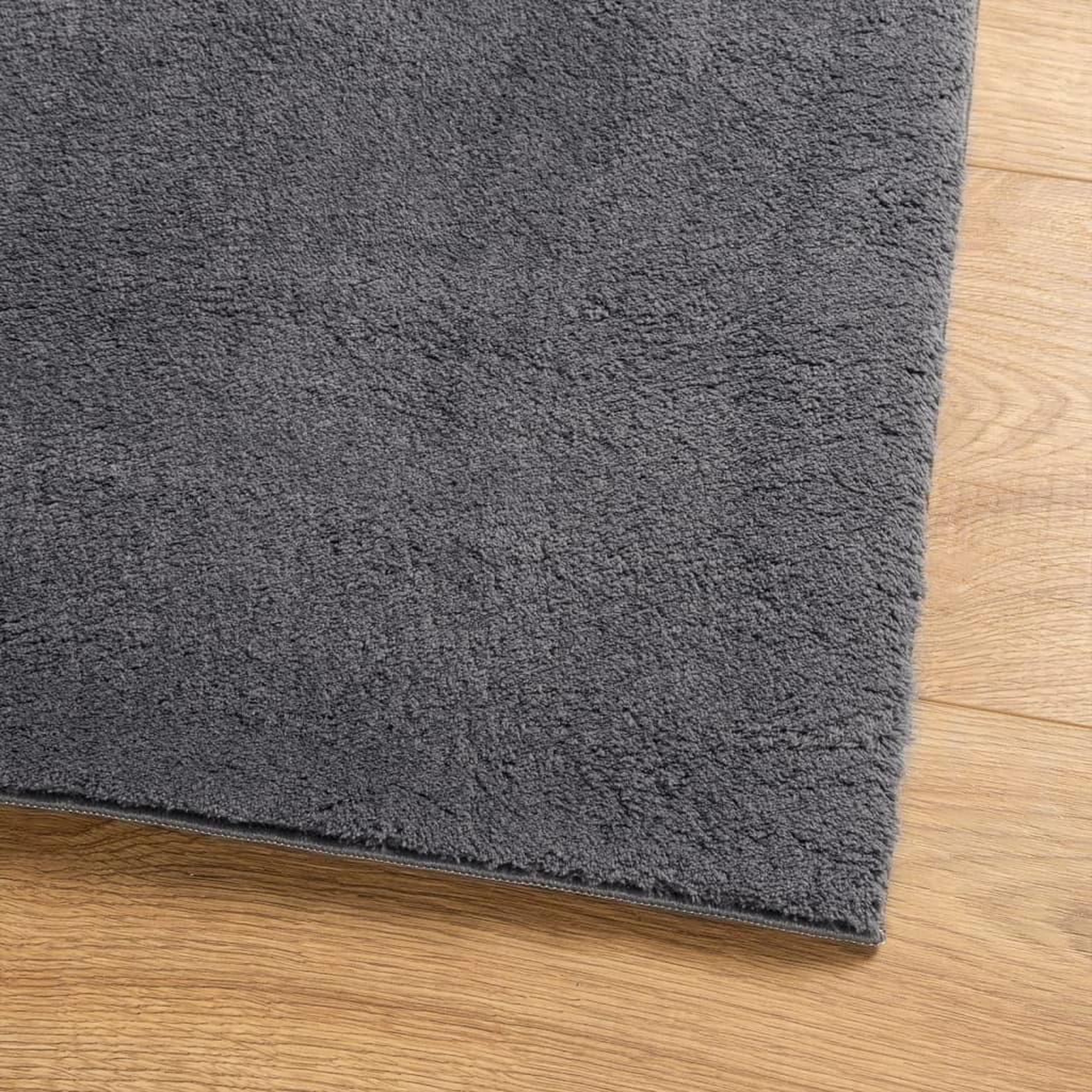 Voir la diapositive 4 : VIDAXL Tapis HUARTE a poils courts doux lavable anthracite 120x120 cm
