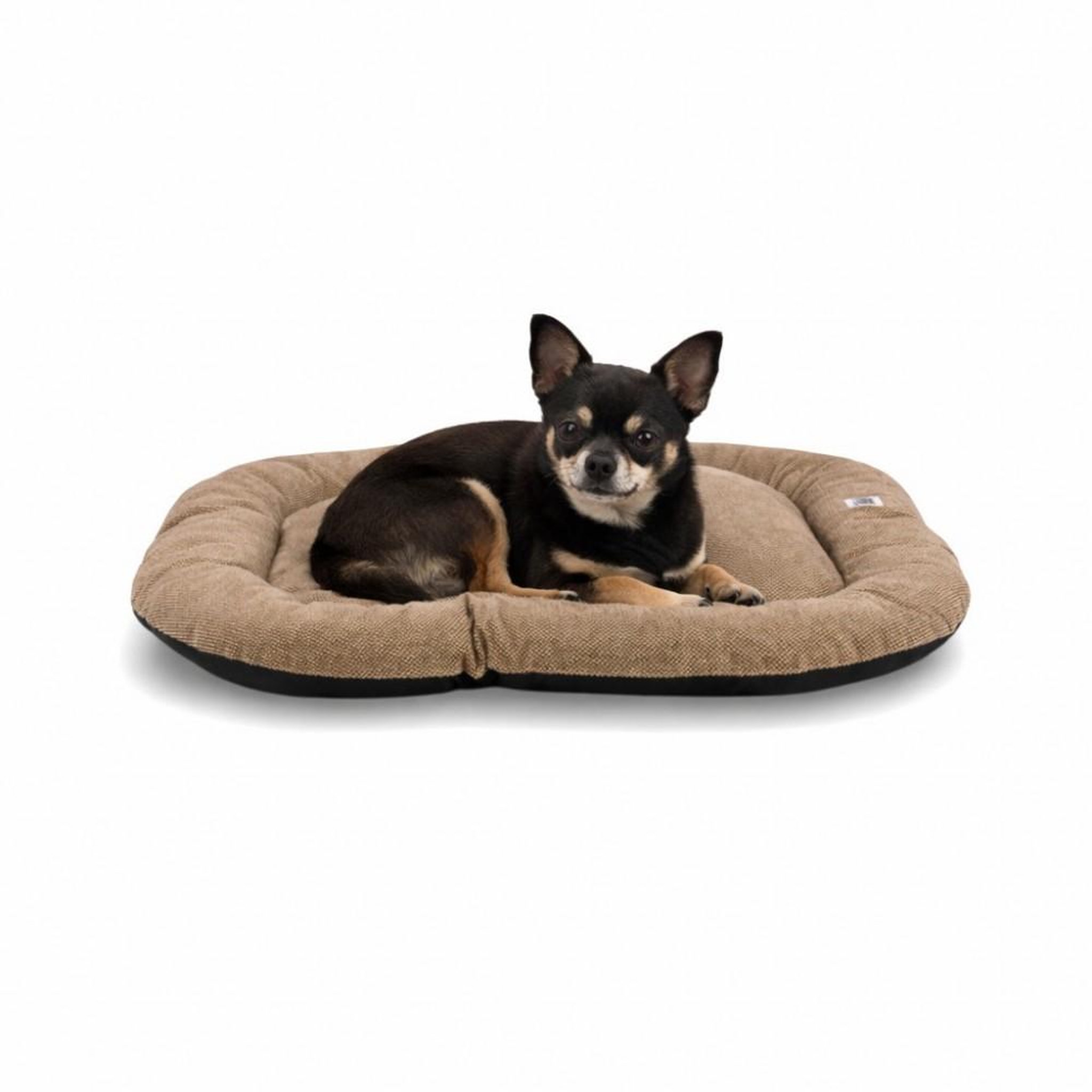 MON AMI LUKI Coussin ovale antidérapant tissus pour chien. Coloris disponibles : Beige