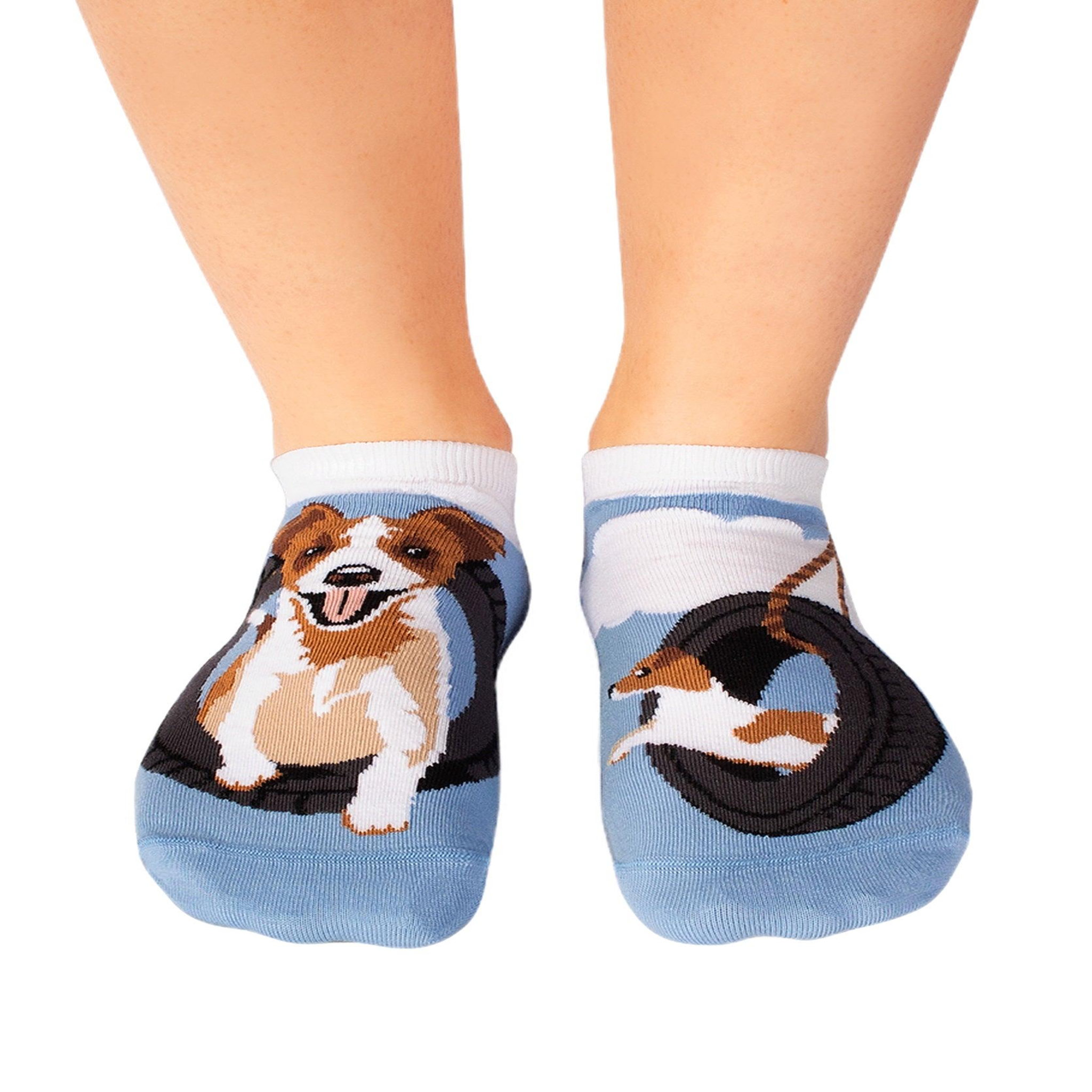 PIRIN HILL Socquettes arty jack russell. Coloris disponibles : Blanc