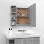 Voir la diapositive 5 : VIDAXL Armoire a miroir avec LED Sonoma gris 70x16,5x60 cm