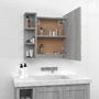 Voir la diapositive 5 : VIDAXL Armoire a miroir avec LED Sonoma gris 70x16,5x60 cm