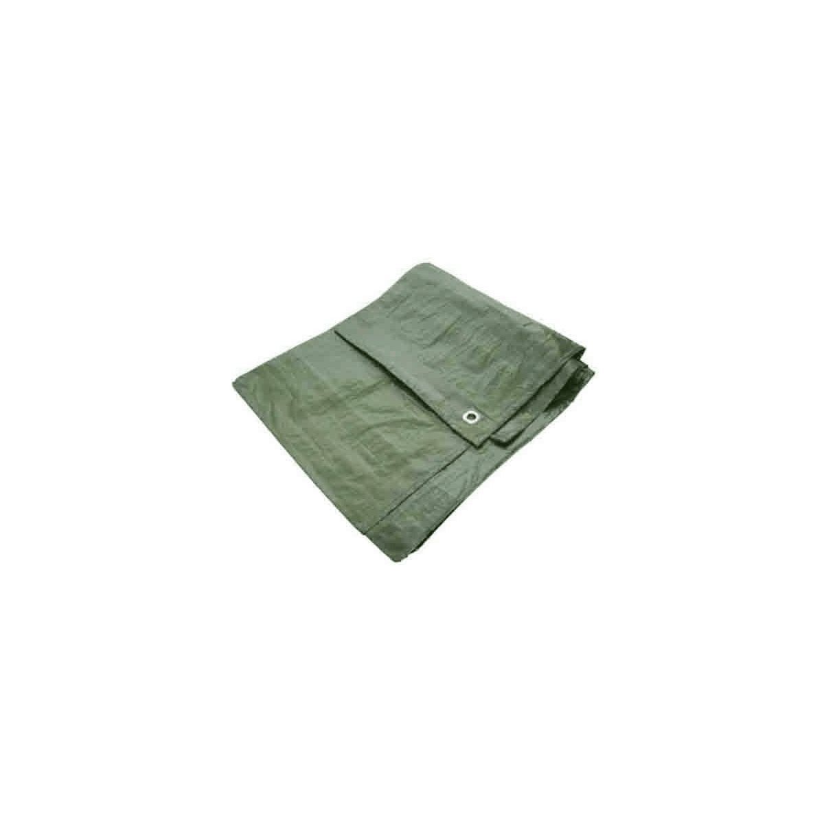 GARDENSTAR Bâche de protection verte - 4 x 5m - 70gr/m²