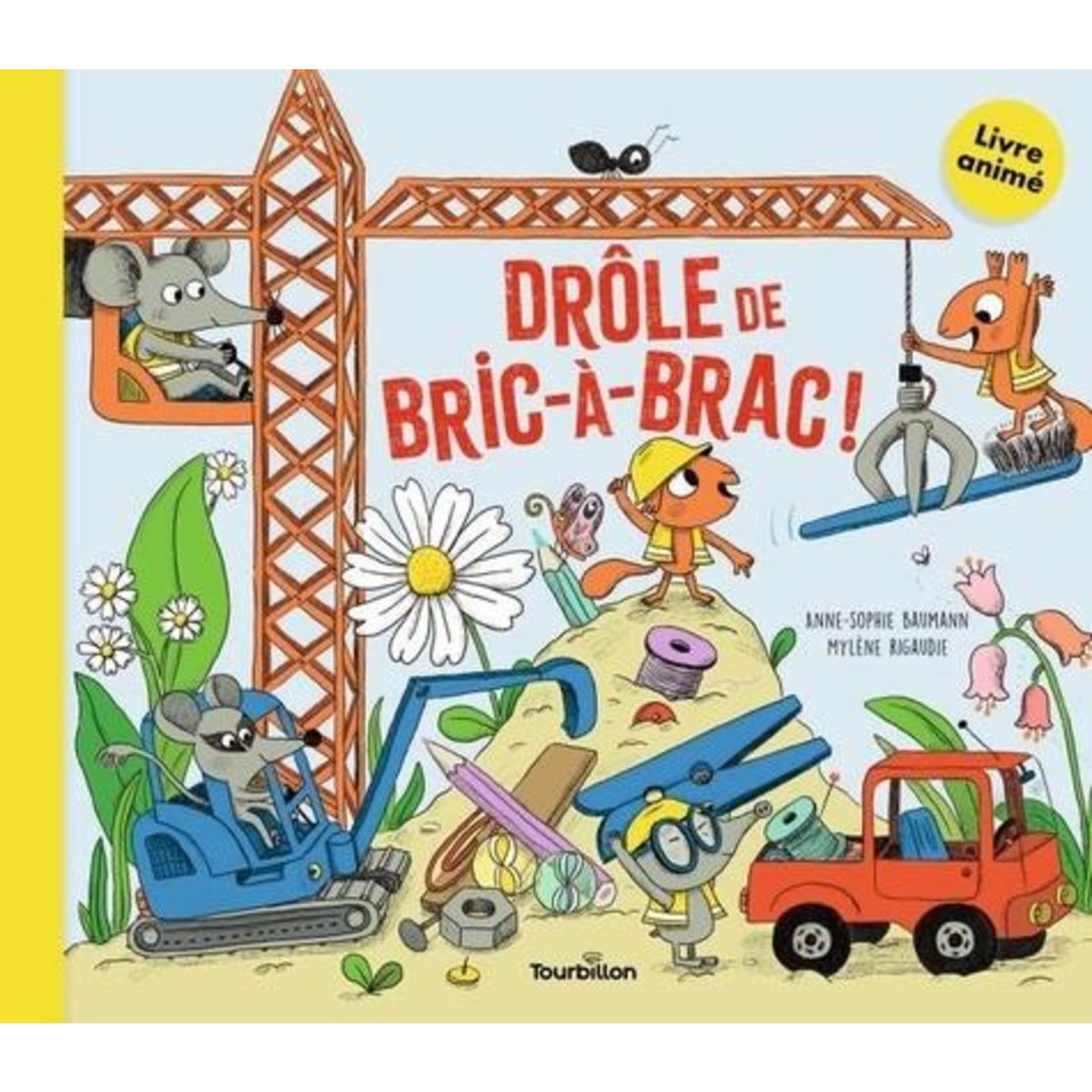 DROLE DE BRIC-A-BRAC !, Baumann Anne-Sophie