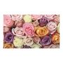 Voir la diapositive 2 : Paris Prix Papier Peint  Roses Pastels  270x450cm