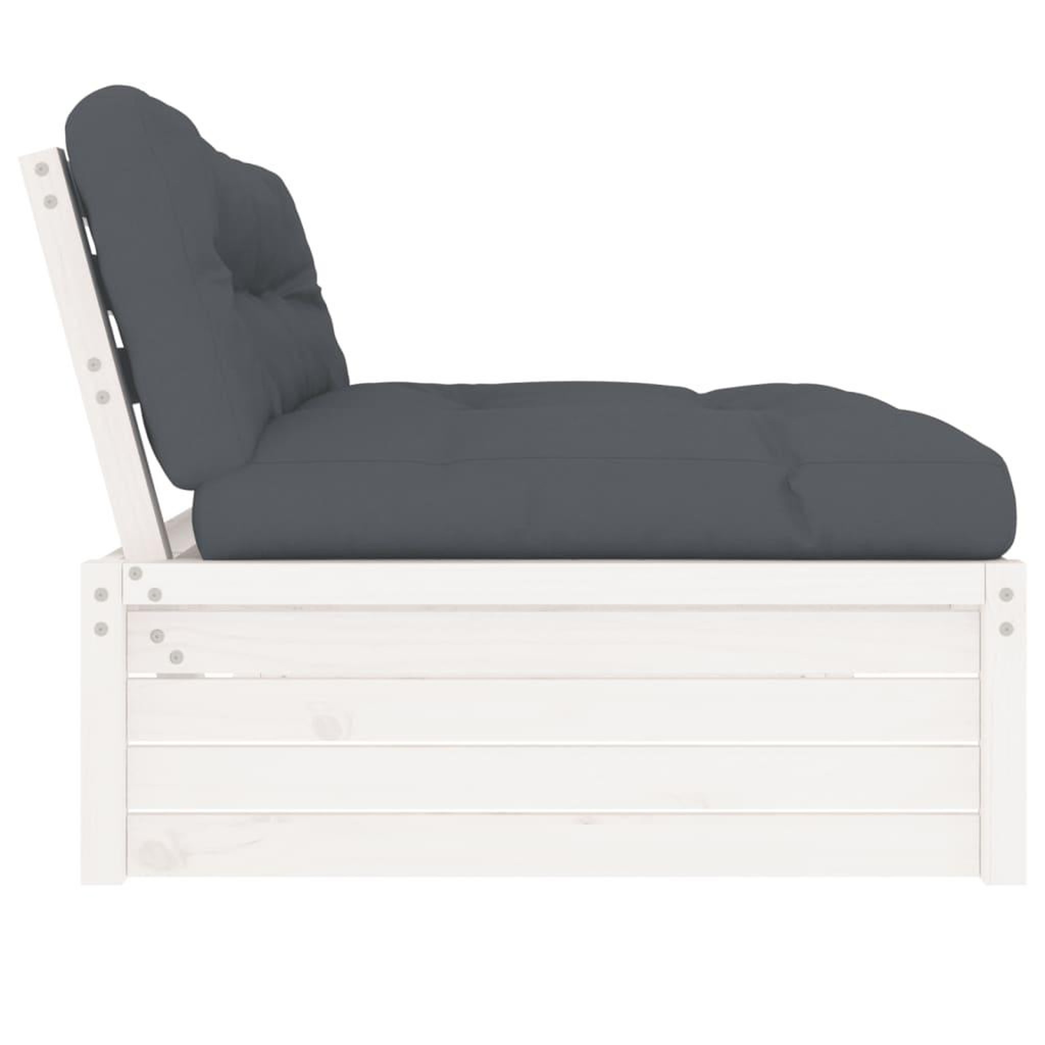Voir la diapositive 4 : VIDAXL Canape central 120x80 cm blanc bois de pin massif