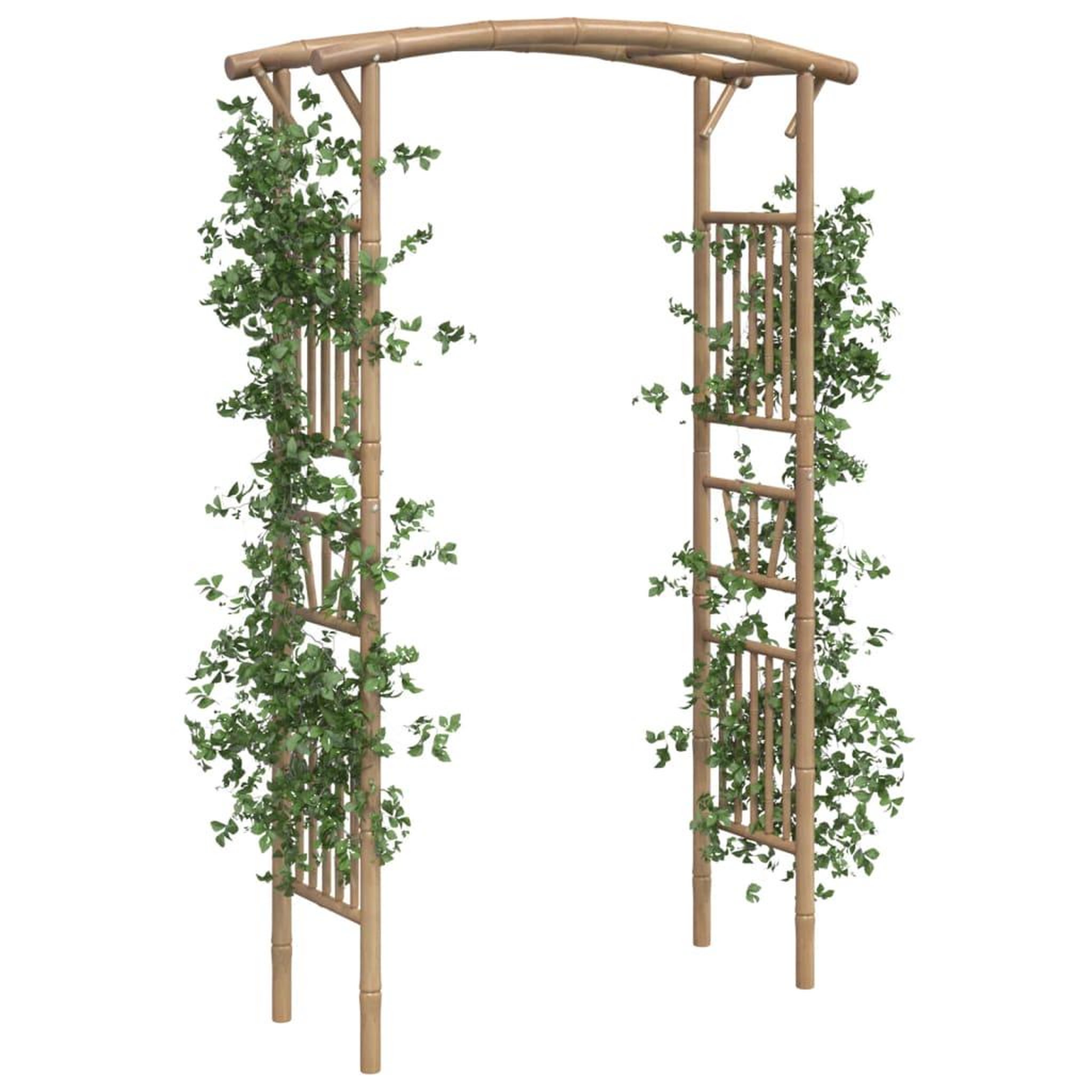 Voir la diapositive 3 : VIDAXL Arche pour rosiers Bambou 118x40x187 cm