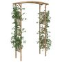 Voir la diapositive 3 : VIDAXL Arche pour rosiers Bambou 118x40x187 cm
