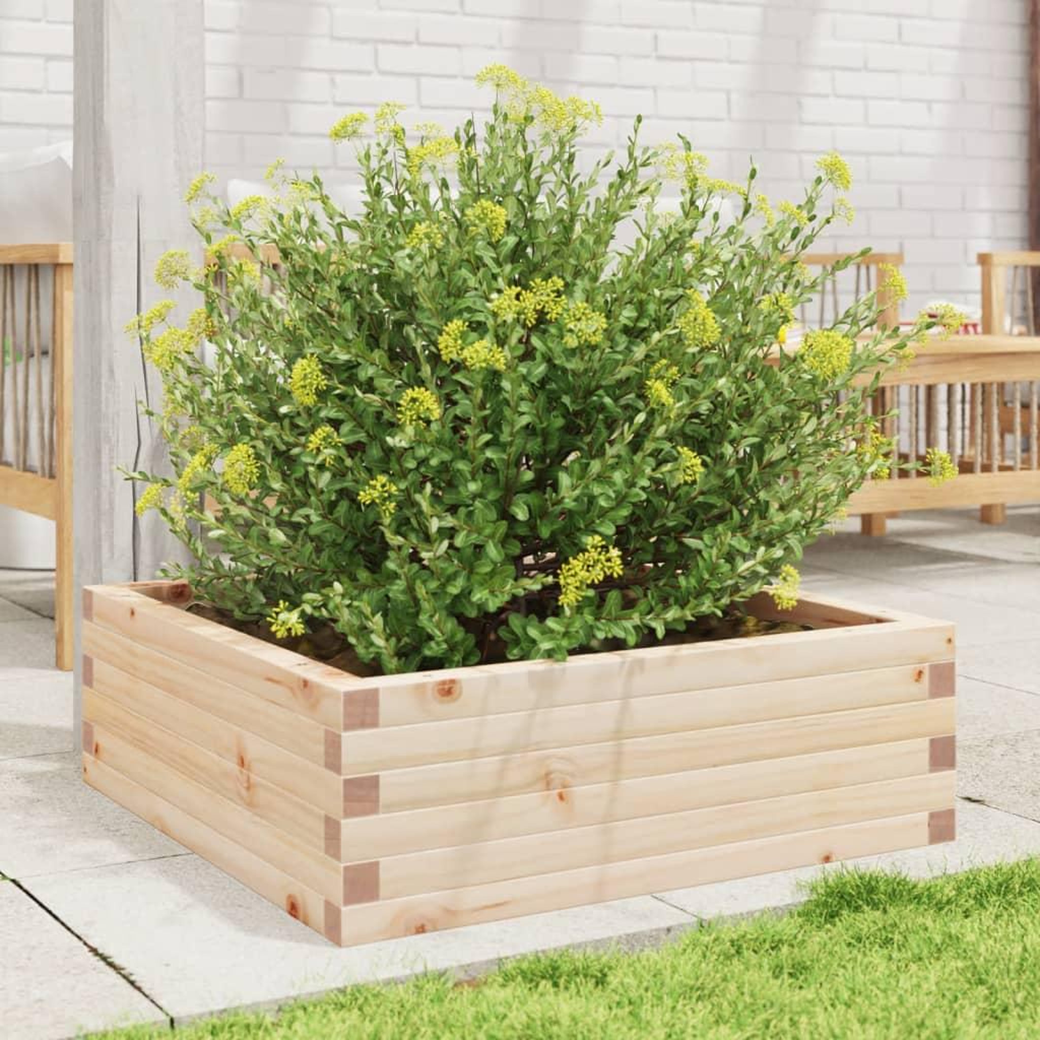Voir la diapositive 3 : VIDAXL Jardiniere 70x70x23 cm bois de pin massif