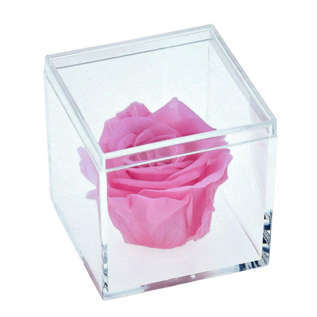 SC CRYSTAL Ecrin décoré d'une rose éternelle stabilisée - rose