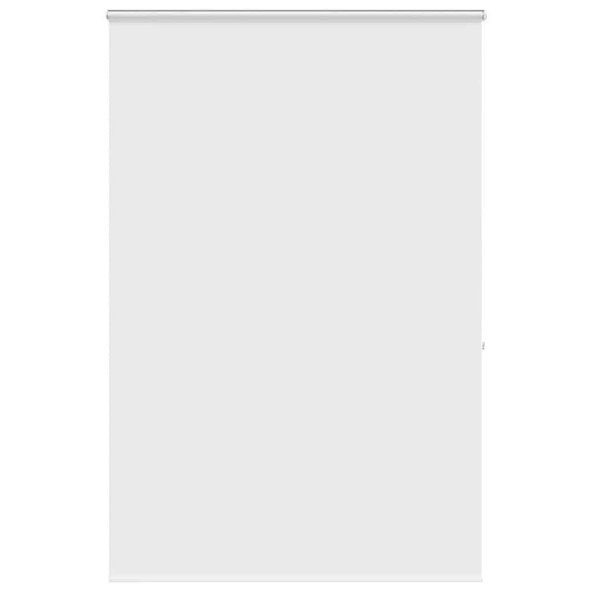 VIDAXL Store enrouleur de douche avec cassette largeur du tissu 156 cm