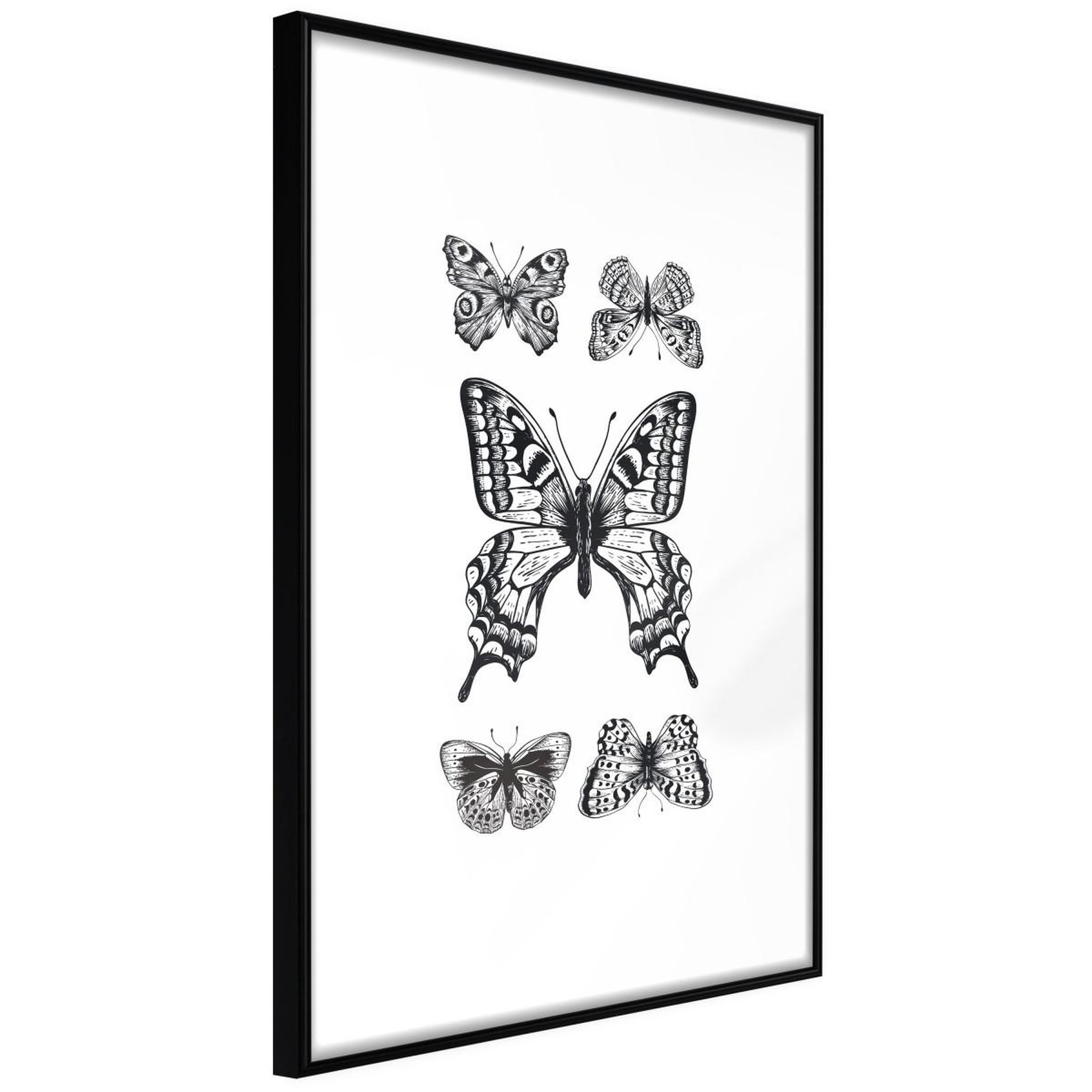 Paris Prix Affiche Murale Encadrée  Butterfly Collection IV