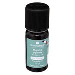 ATMOSPHERA Huile Essentielle  Générique  10ml Menthe Poivrée Bio