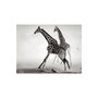 Voir la diapositive 2 : Paris Prix Papier Peint  Girafes