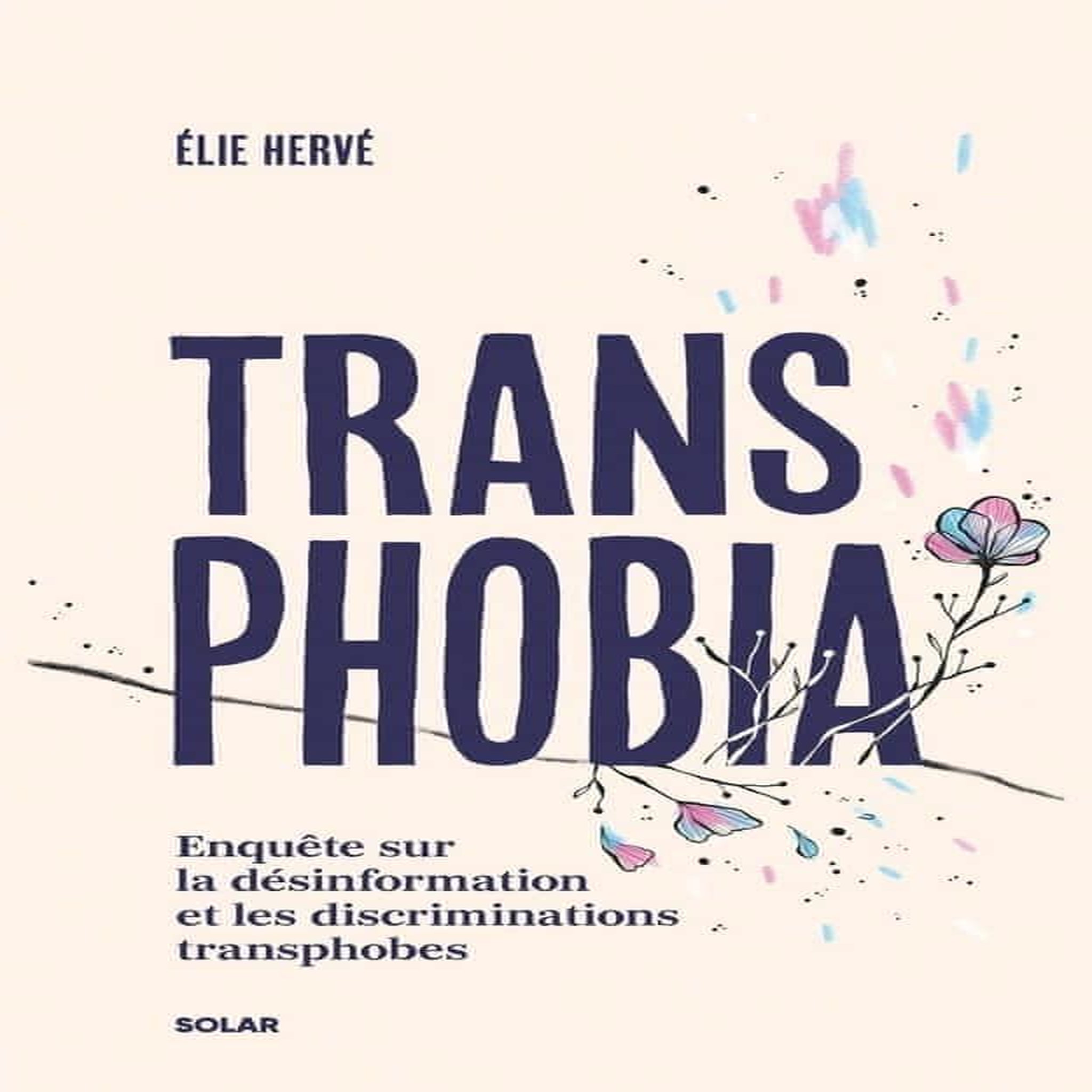 TRANSPHOBIA. ENQUETE SUR LA DESINFORMATION ET LES DISCRIMINATIONS TRANSPHOBES, Hervé Elie