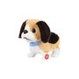Voir la diapositive 2 : Paris Prix Peluche Animée Chien  Galipette  20cm Marron