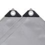 Voir la diapositive 4 : VIDAXL Bache 650 g / m^2 3x6 m Gris