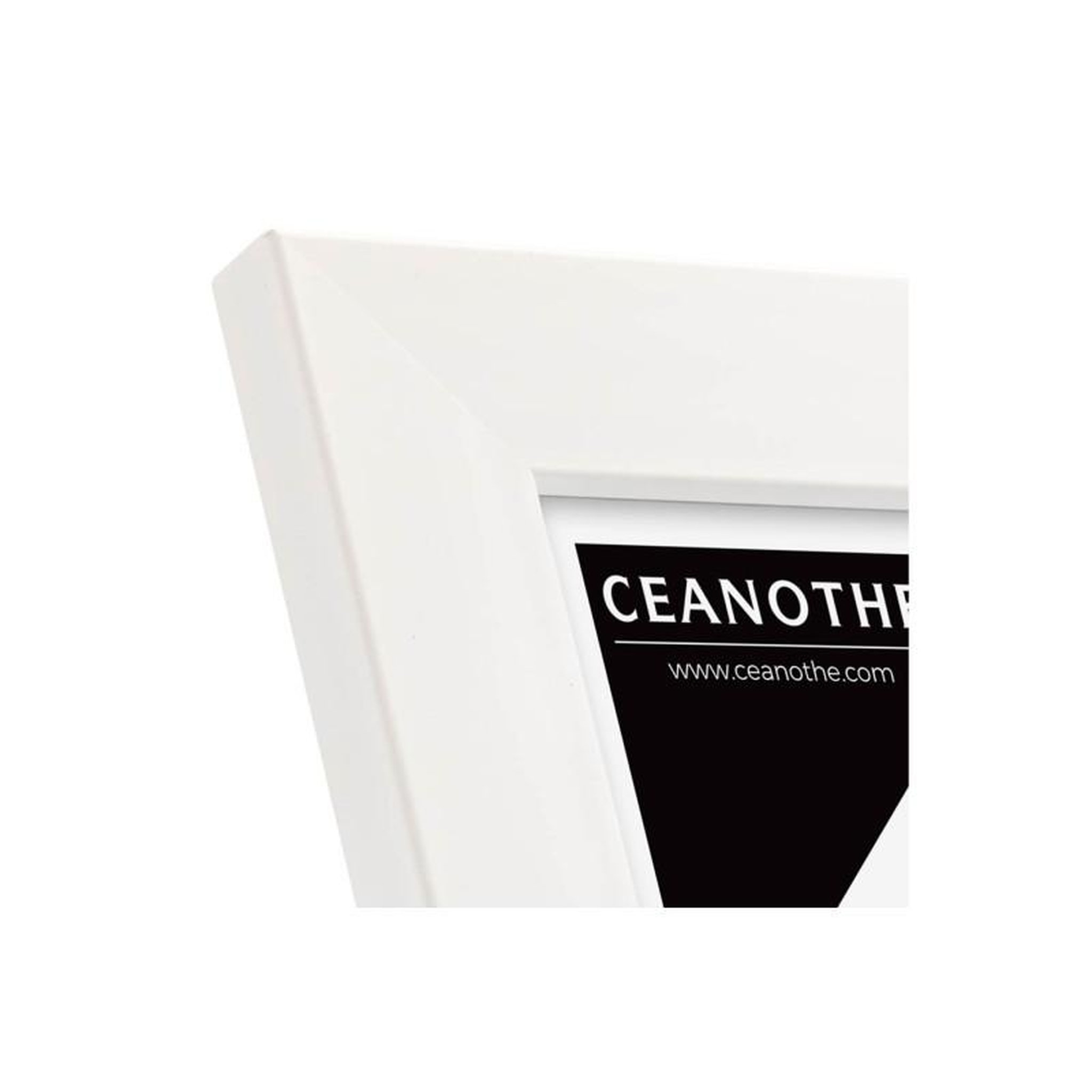 Voir la diapositive 4 : CEANOTHE Cadre Ceanothe CADRE 13X18 ETERNEL BLANC