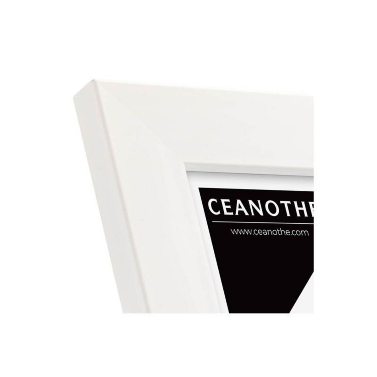 CEANOTHE Cadre Ceanothe CADRE 13X18 ETERNEL BLANC