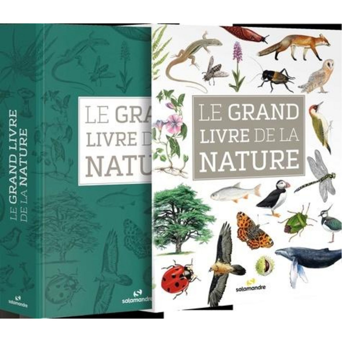 LE GRAND LIVRE DE LA NATURE, Staehli Alessandro