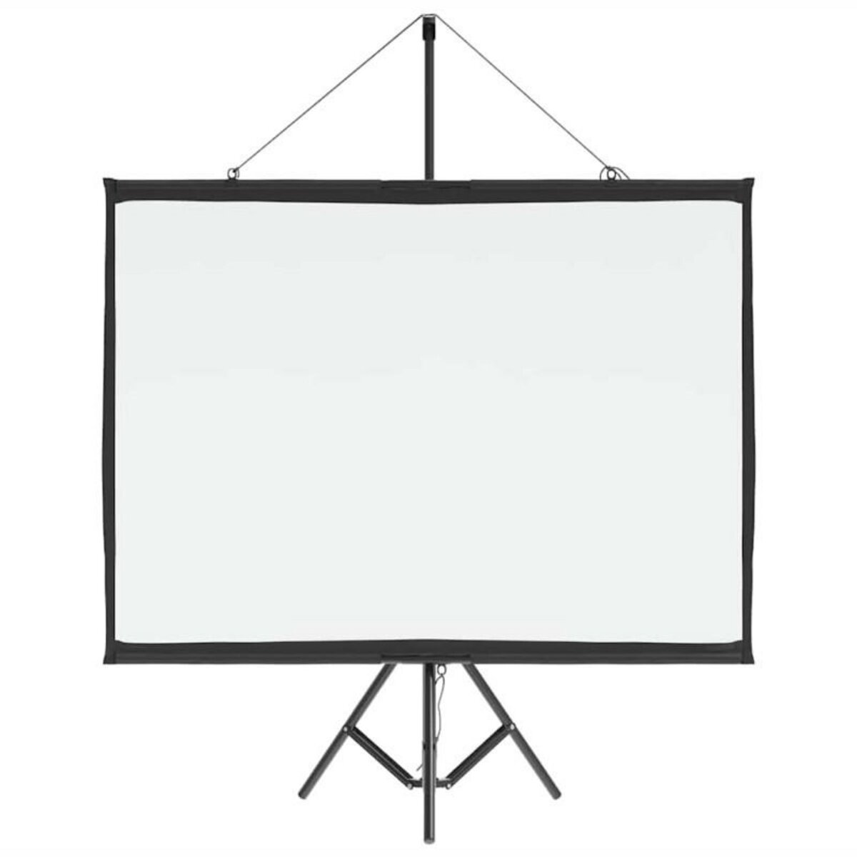 VIDAXL Écran de projection avec trépied 50 pouces 4 3