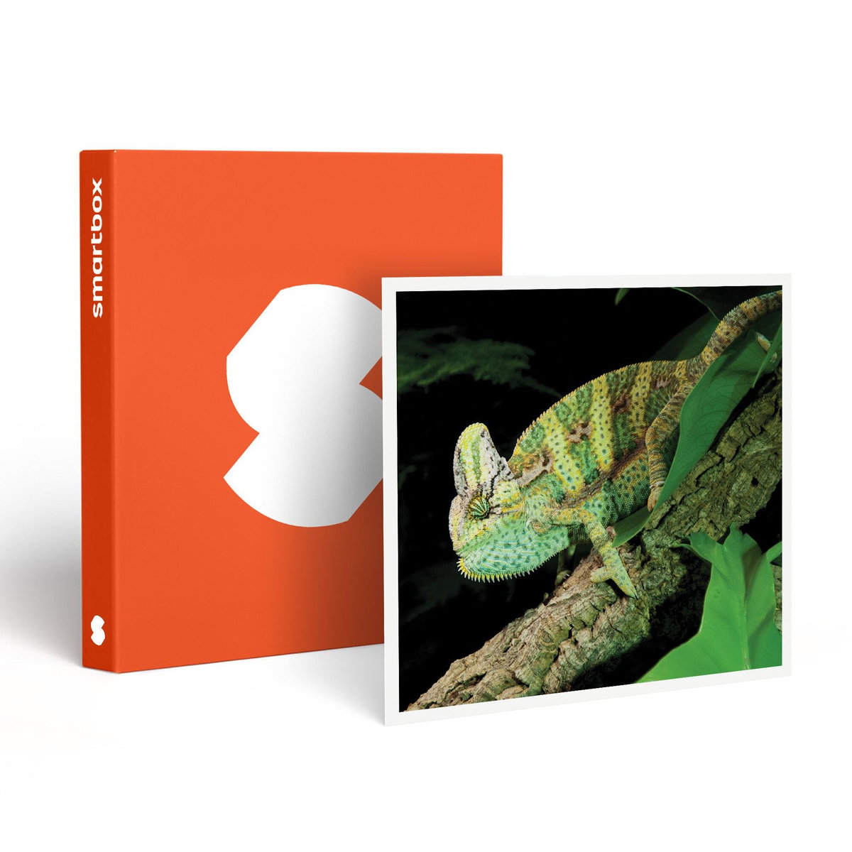 Smartbox Rencontre avec les reptiles et les amphibiens pour 2 personnes près de Mâcon - Coffret Cadeau Sport & Aventure