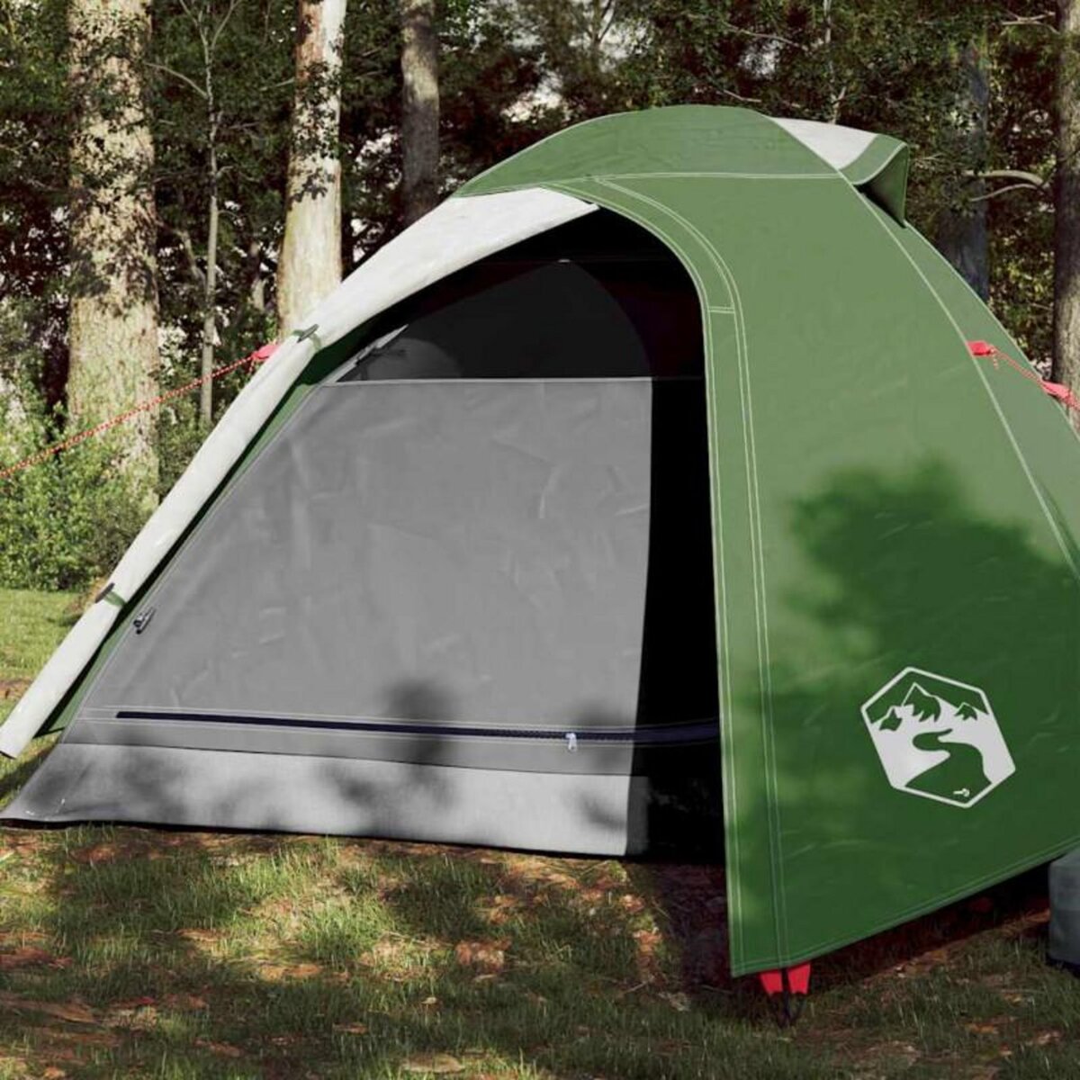 VIDAXL Tente de camping à dôme 2 personne vert imperméable