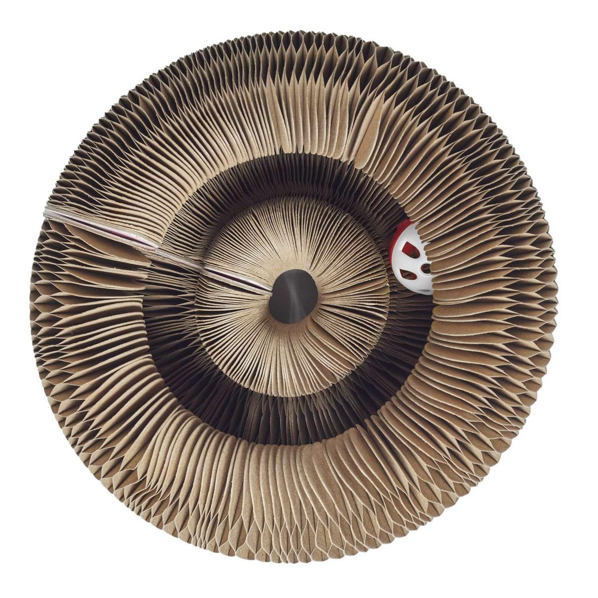 The concept Factory Jeu griffoir 2 en 1 pour chat