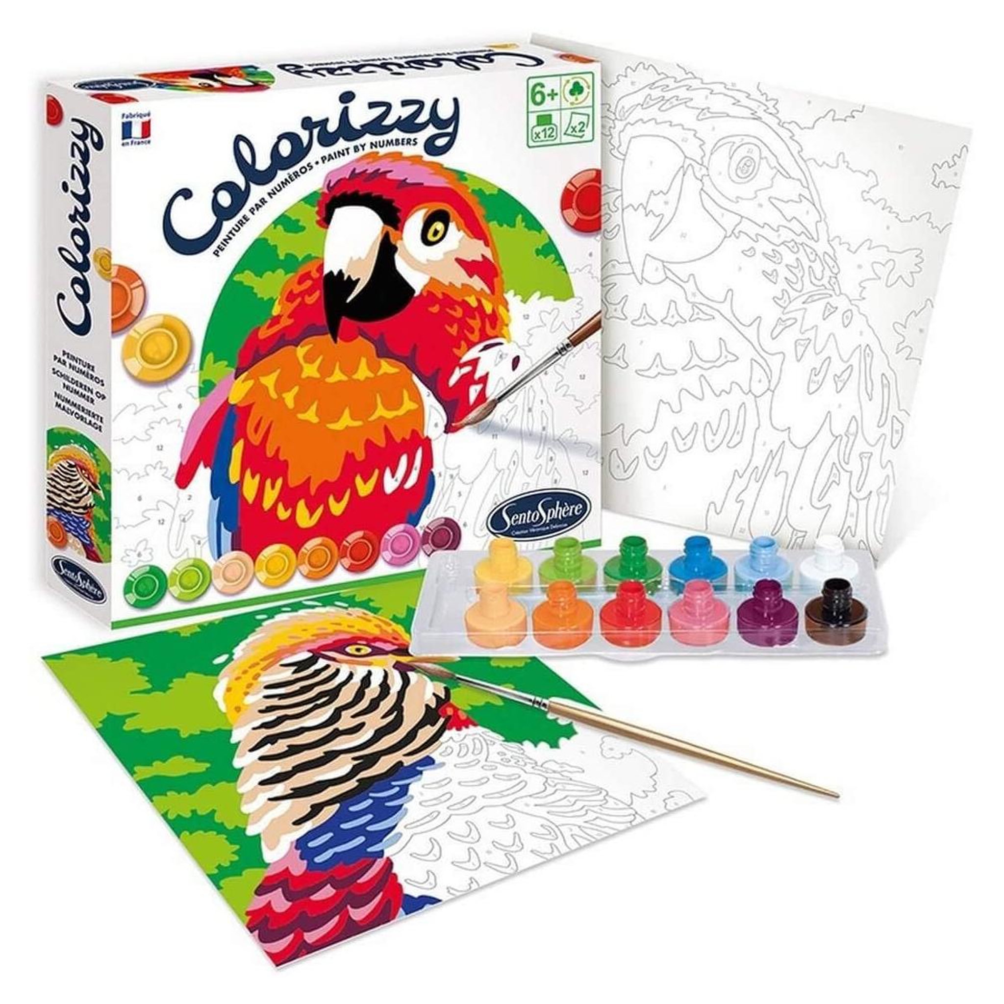 Sentosphere Colorizzy  - oiseaux Peinture