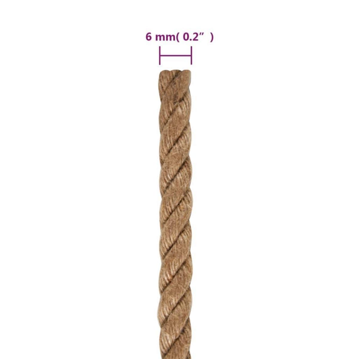 VIDAXL Corde 100 % jute 6 mm 500 m