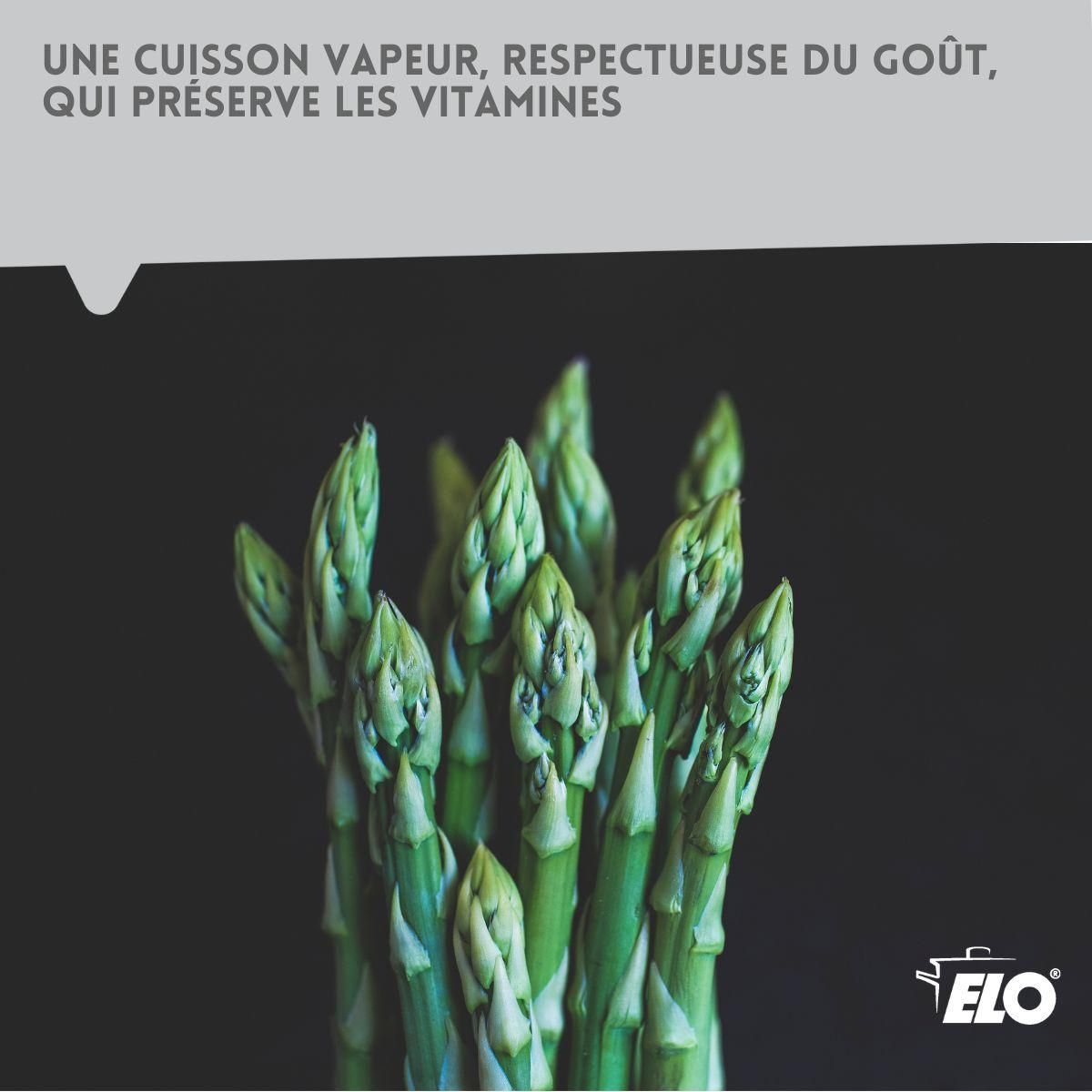 ELO Cuiseur à asperges inox avec couvercle 4 litres Elo Brillant
